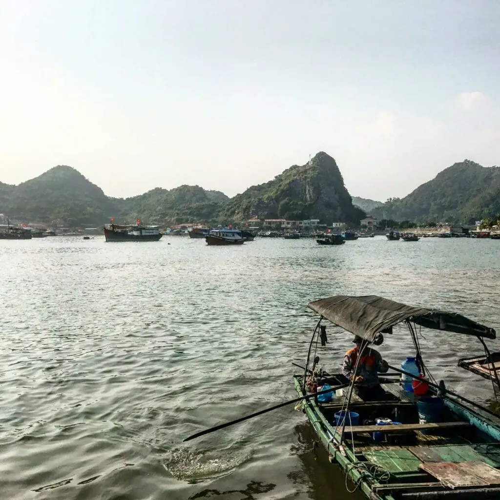 Cat Ba Harbor Boats