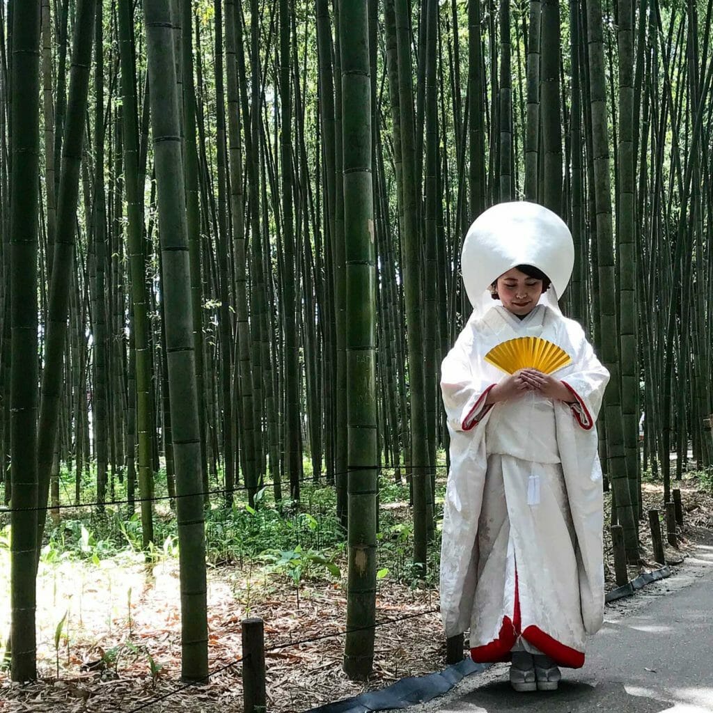 Japan Kyoto Bamboo Forrest 04