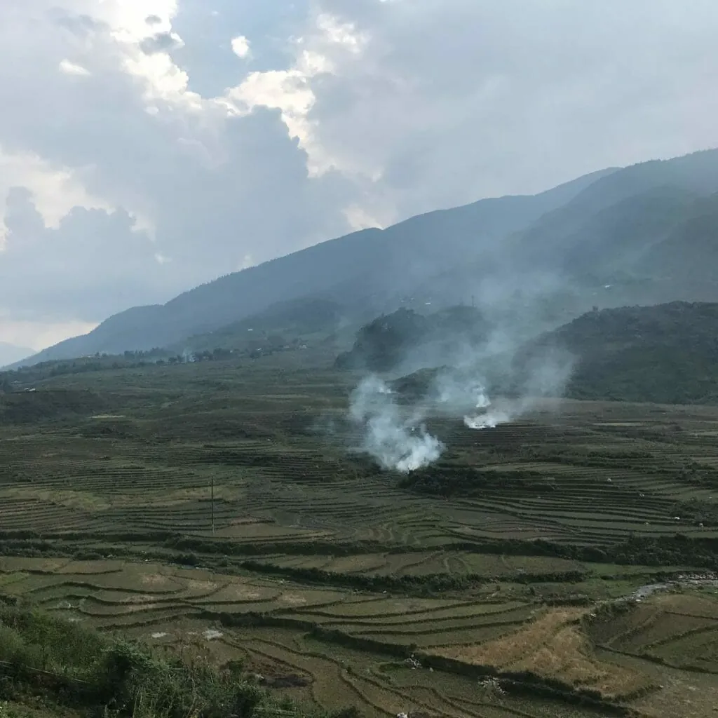 sapa-rice